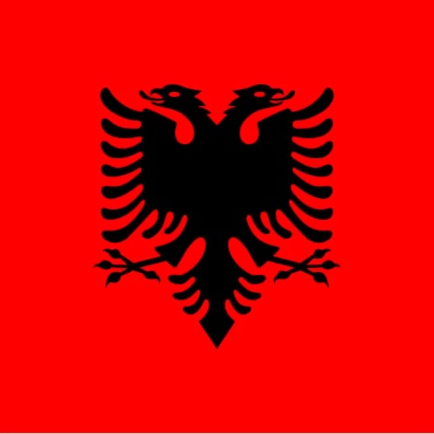 foto coveri